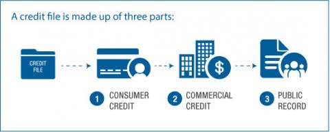 What's in my credit file?