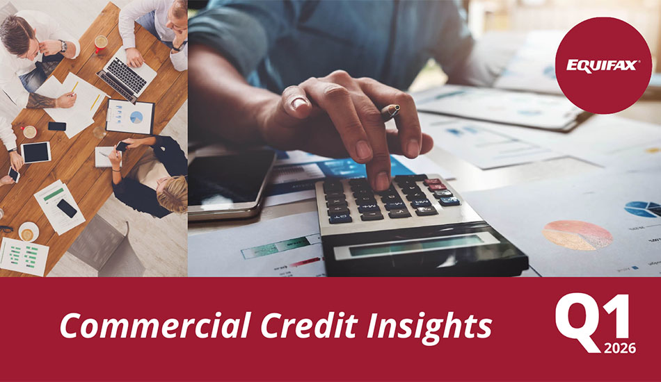 Commercial Credit Insights